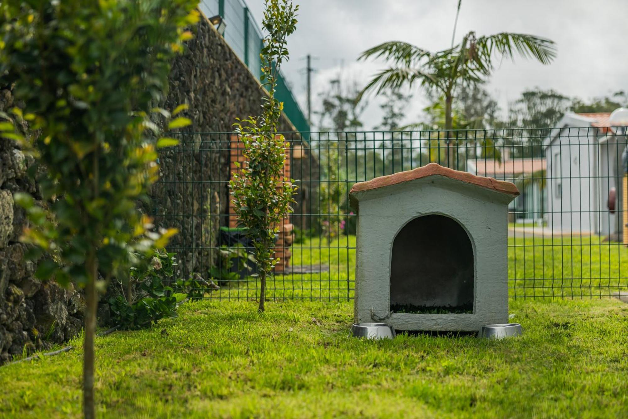 Parrots'Village Rabo de Peixe Exterior photo